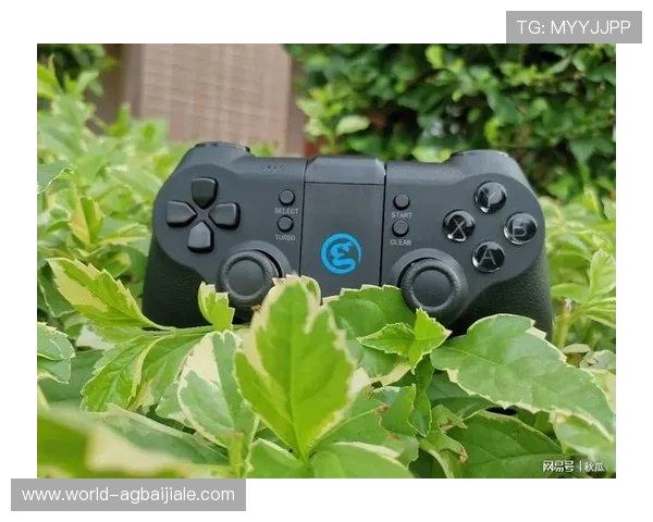 专业玩家推荐的ag真人网站下载渠道,保障游戏体验安全顺畅 专业玩家推荐的ag真人网站下载渠道,保障游戏体验安全顺畅