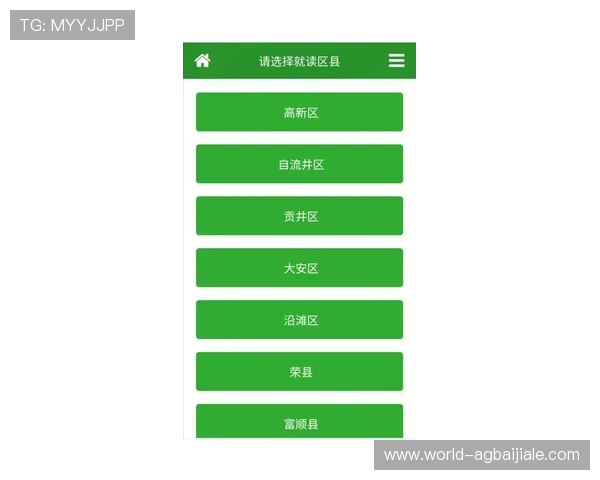 凯发首页地址如何登录确保顺利进入平台的详细操作指南