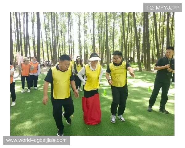 天博真人平台的法律合规性分析，确保玩家权益与平台合法运营保障