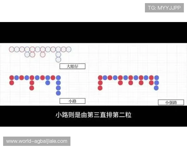 实用百家乐下注技巧指南,新手必学的稳赢方法详细解析 实用百家乐下注技巧指南,新手必学的稳赢方法详细解析
